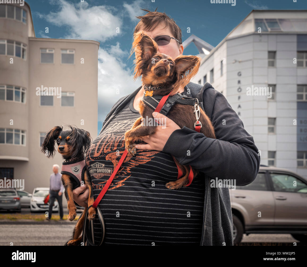 Femme avec 2 petits chiens, Reykjavik, Islande Banque D'Images