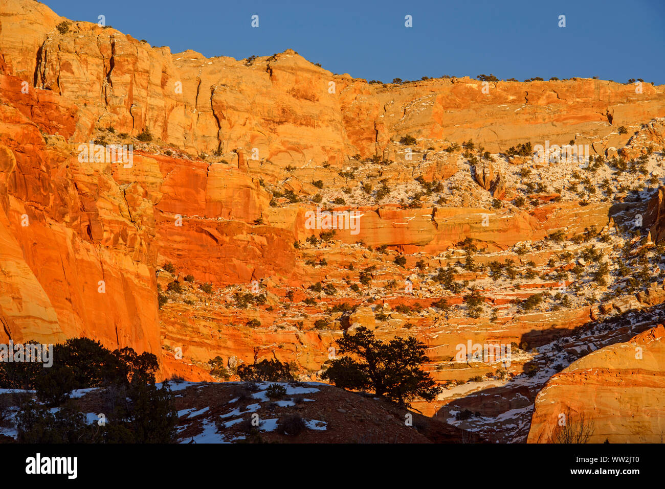 Lumière du soir sur les falaises de grès avec de la neige récente, Capitol Reef National Park, Utah, USA Banque D'Images