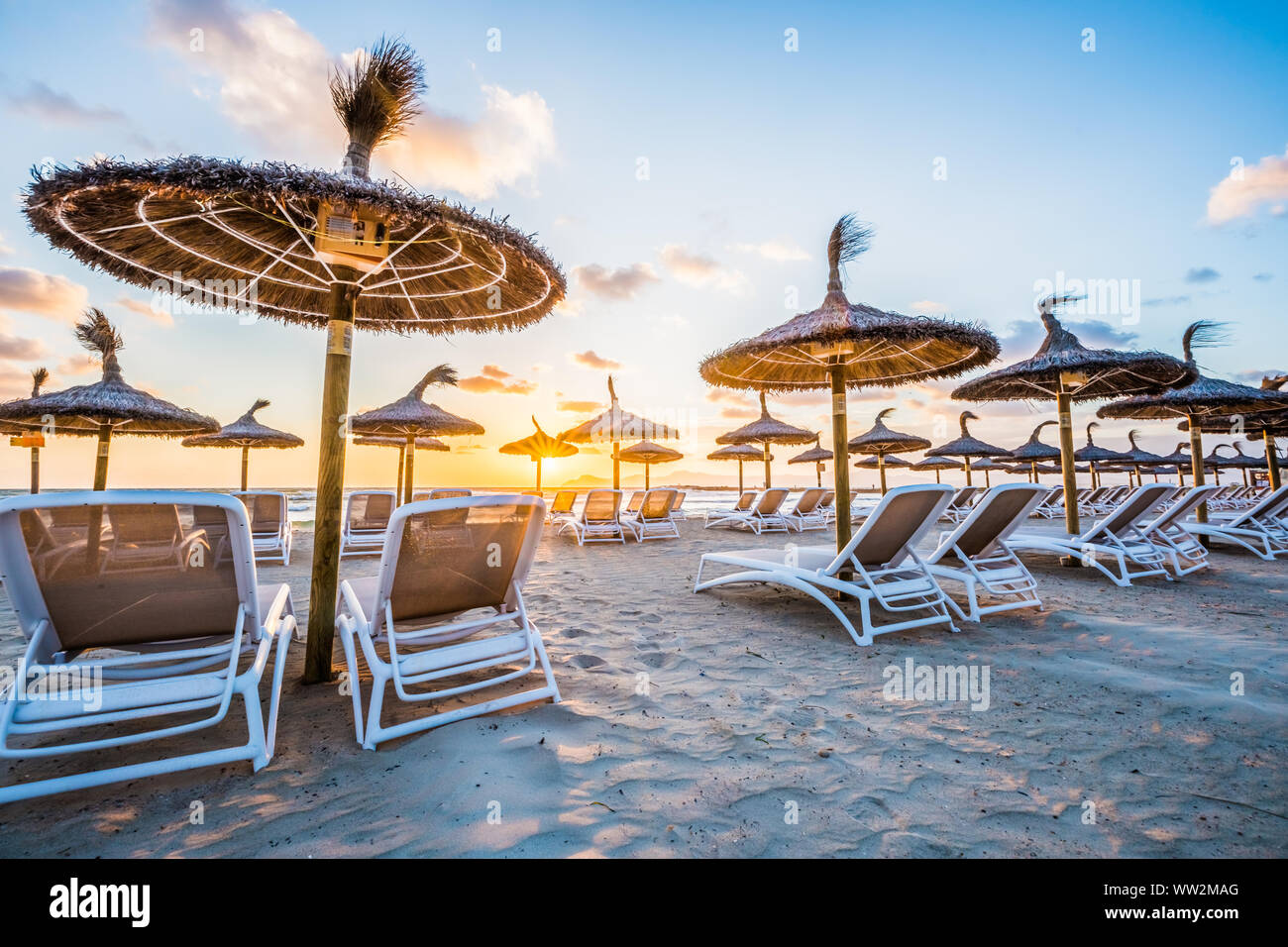 Des rangées de chaises longues et parasols sur la plage Playa de Muro, Alcudia, Majorque Banque D'Images
