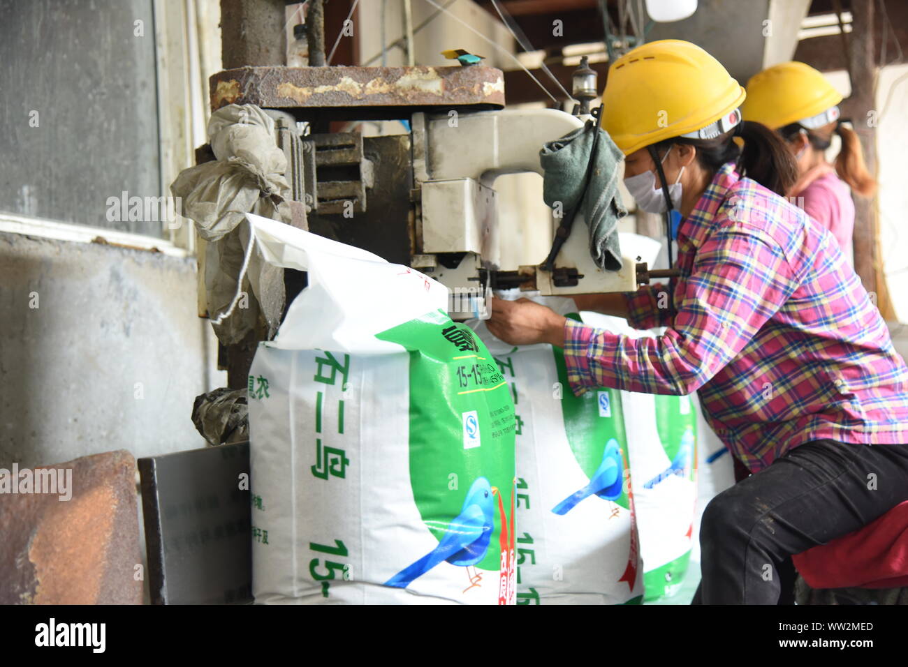 Les travailleurs chinois seal sacs d'engrais complexes dans une usine dans le comté de Donghai, Lianyungang City, Jiangsu Province de Chine orientale, le 4 septembre, 201 Banque D'Images