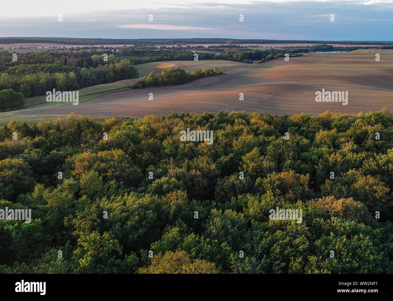 Lietzen, Allemagne. 10 Sep, 2019. La lumière du soir soleil projette de longues ombres sur le paysage agricole dans le district de territoire (photographie aérienne avec un bourdon). Crédit : Patrick Pleul/dpa-Zentralbild/ZB/dpa/Alamy Live News Banque D'Images