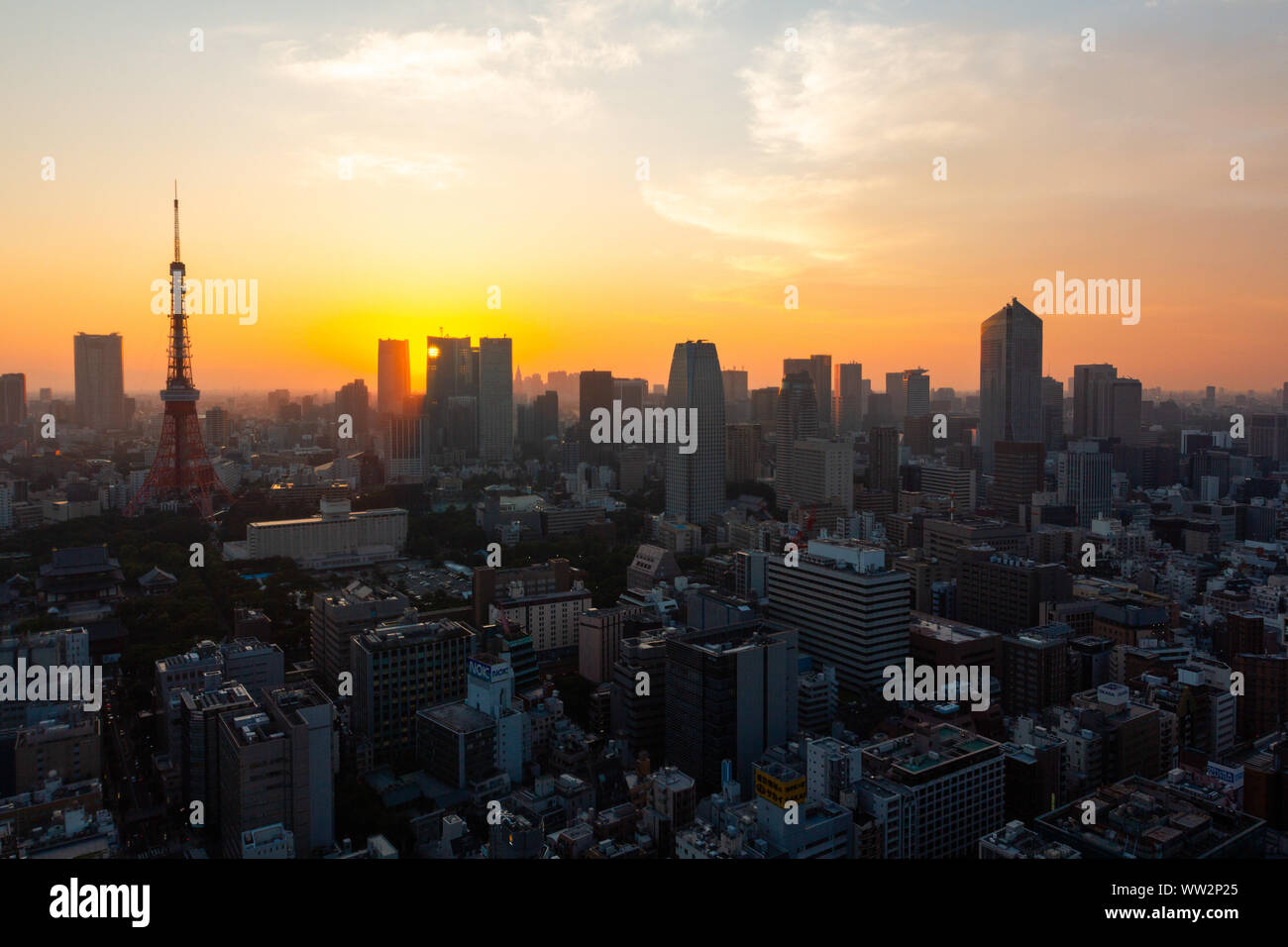 La Tour de Tokyo et gratte-ciel de Minato Ward Banque D'Images