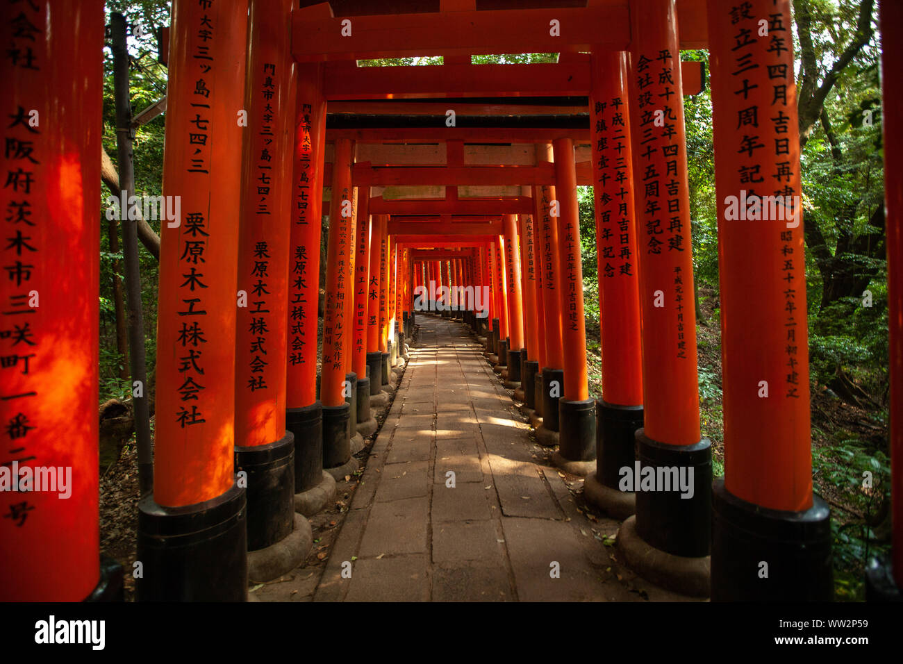 Passage portes torii Orange Banque D'Images