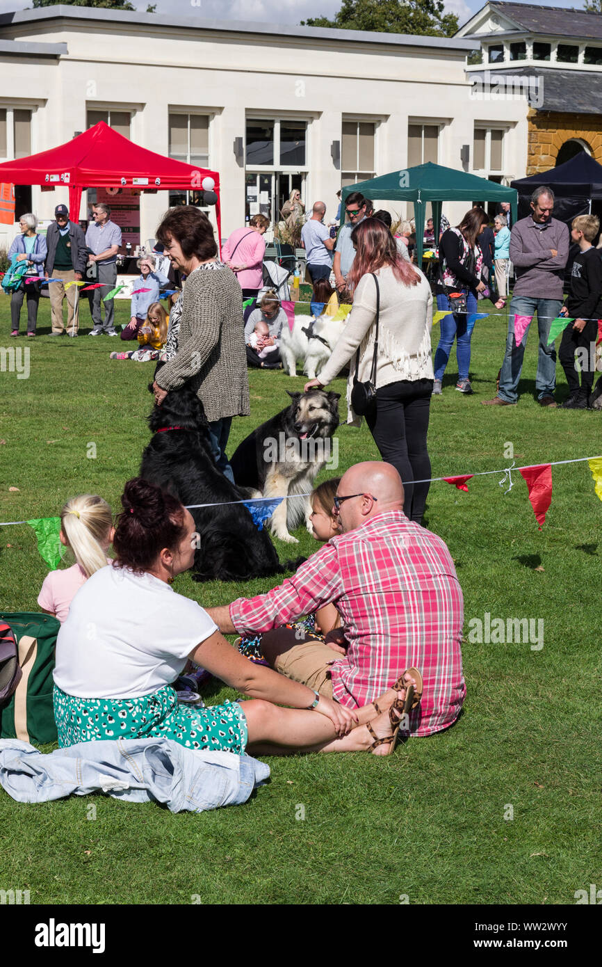 La foule lors d'une exposition canine locale sous le soleil d'après-midi d'été ; Delapre Abbey, Northampton, Royaume-Uni Banque D'Images