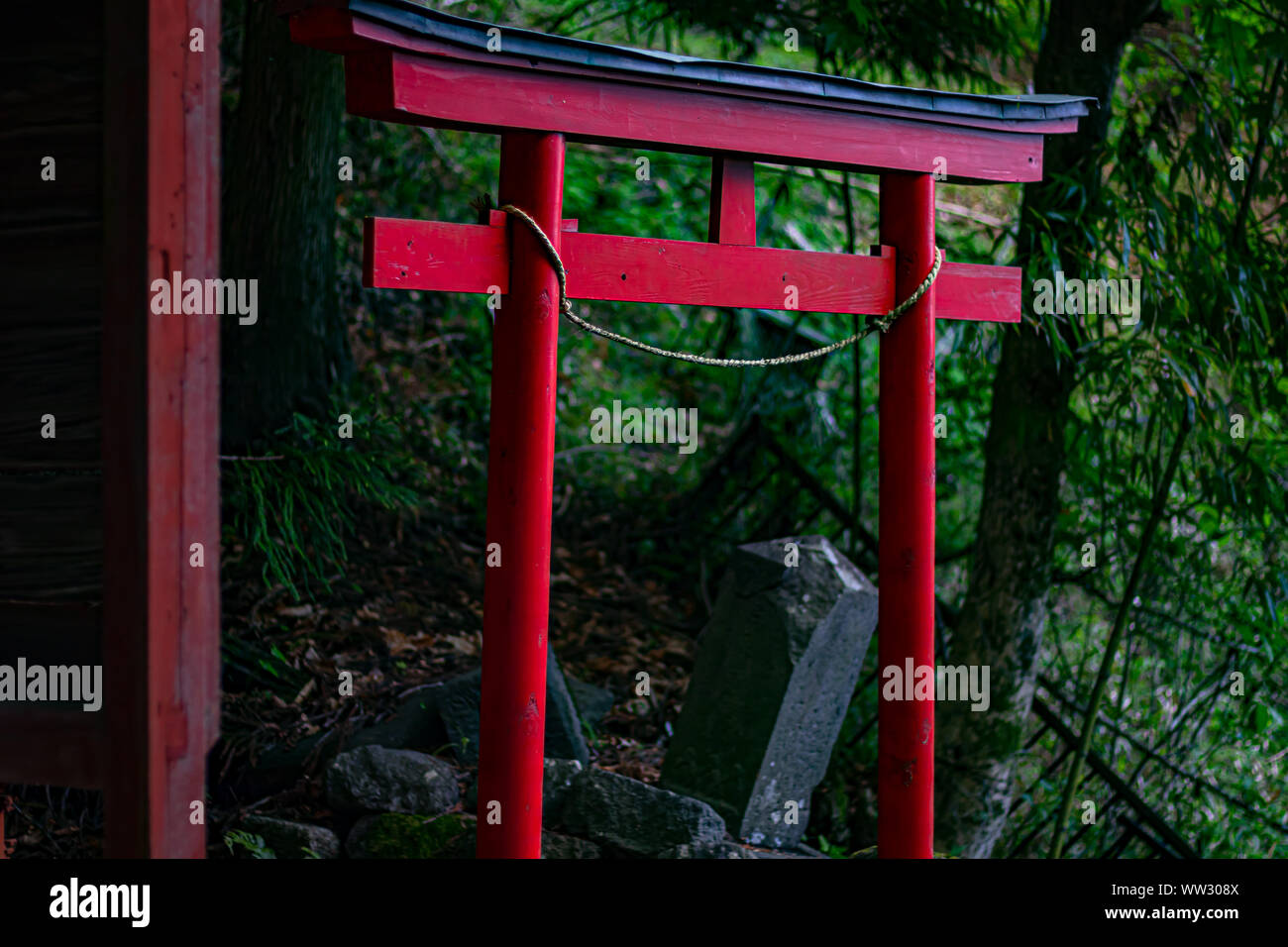 Torii à Seiryu culte, Nikko, Japon Banque D'Images