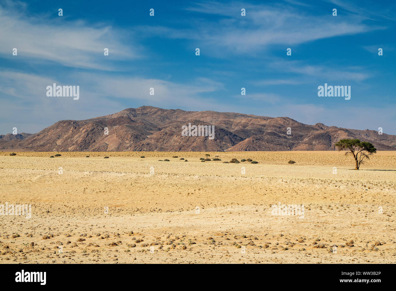 Paysage de désert, Namibie Banque D'Images
