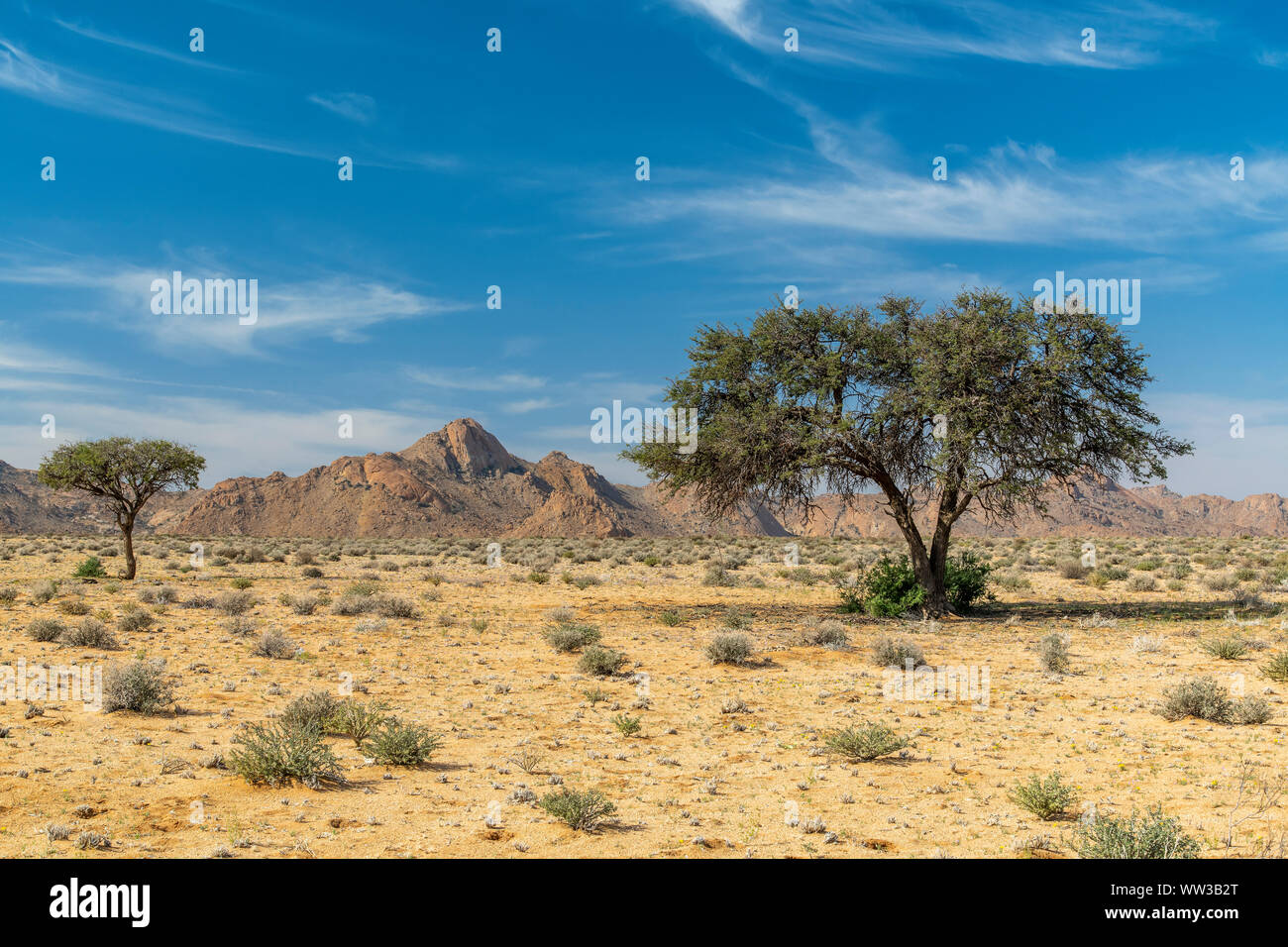 Paysage de désert, Namibie Banque D'Images