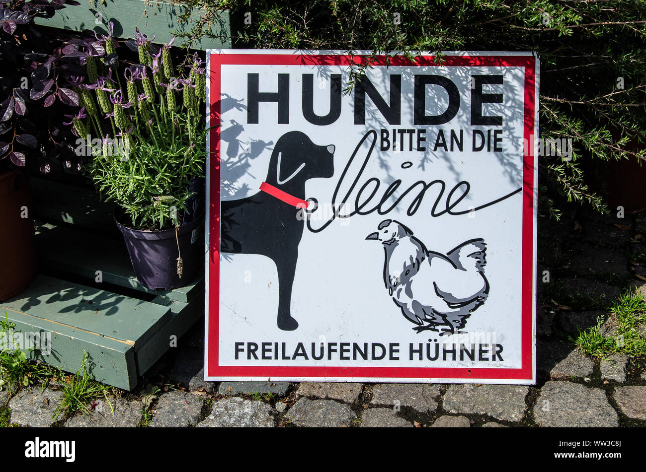 15 raisons de garder votre chien en laisse (même si c'est légal de ne pas) Banque D'Images