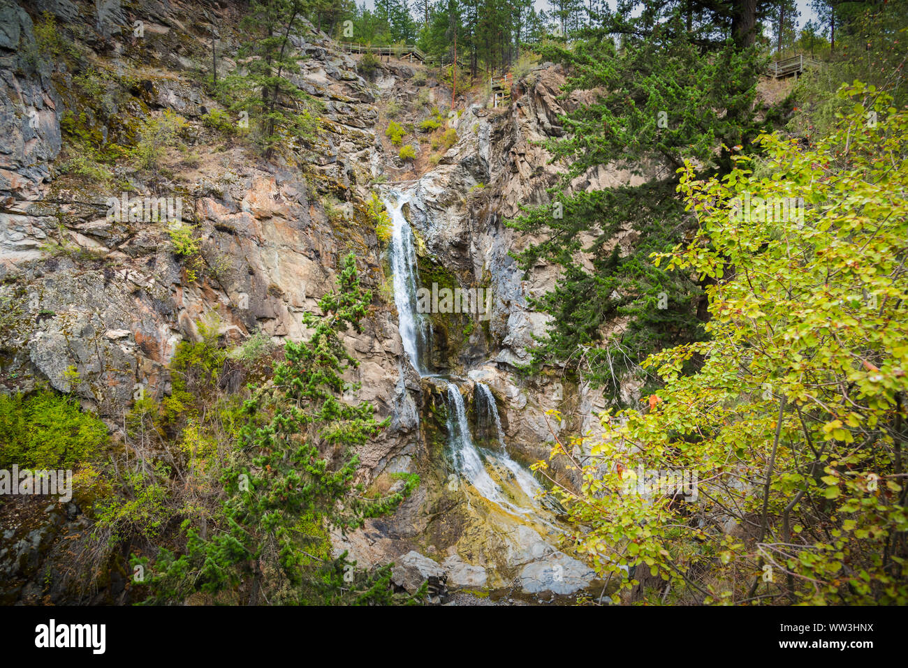 Fintry, chutes et Gorge Shorts Creek avec plate-forme d'observation et d'escaliers au-dessus des chutes Banque D'Images