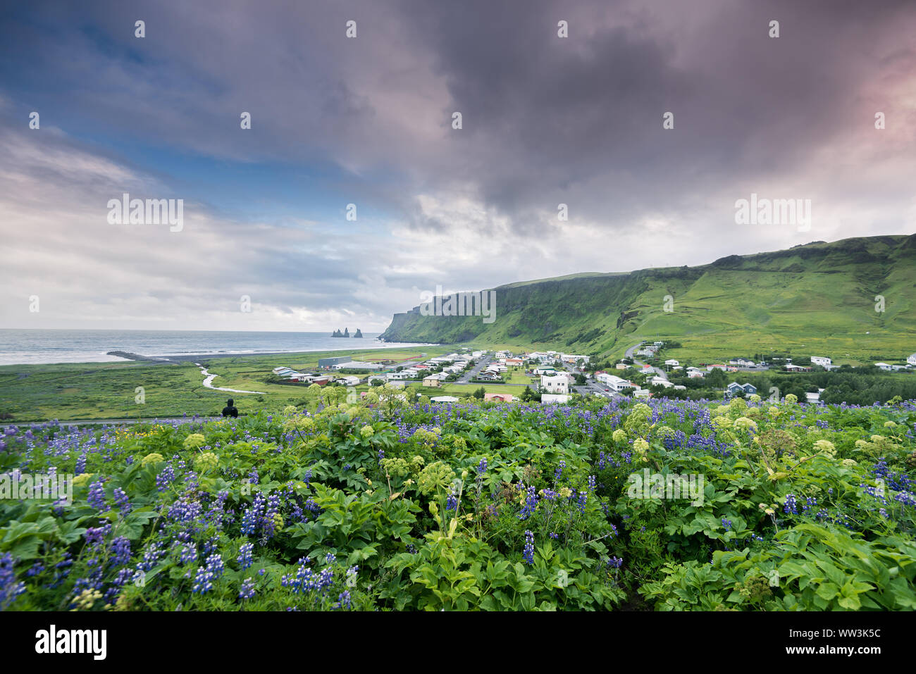 Beau village Vik dans le sud de l'Islande Banque D'Images