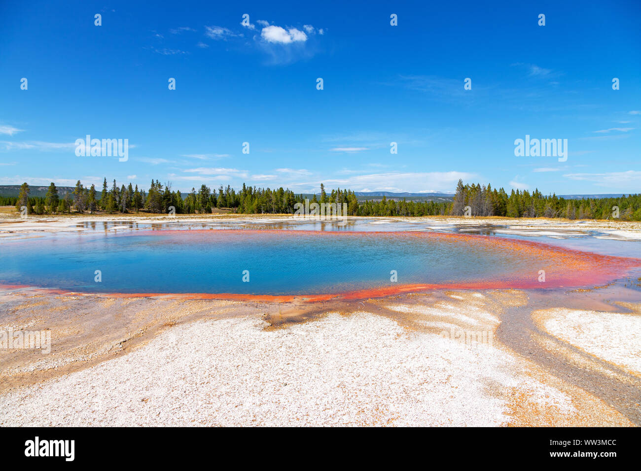 La vapeur s'élève du Grand Prismatic Spring dans le Parc National de Yellowstone. C'est le plus grand Hot Spring à Yellowstone National Park avec 200-330 pieds Banque D'Images