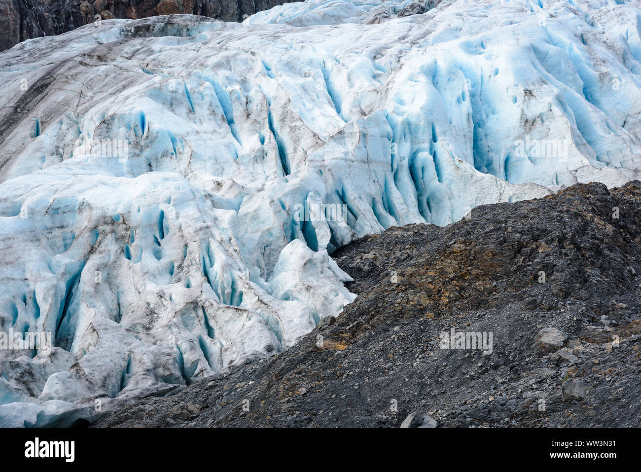 Close Up et le détail de la sortie Glacier, Harding Icefield, Kenai Fjords National Park, Seward, Alaska, United States Banque D'Images