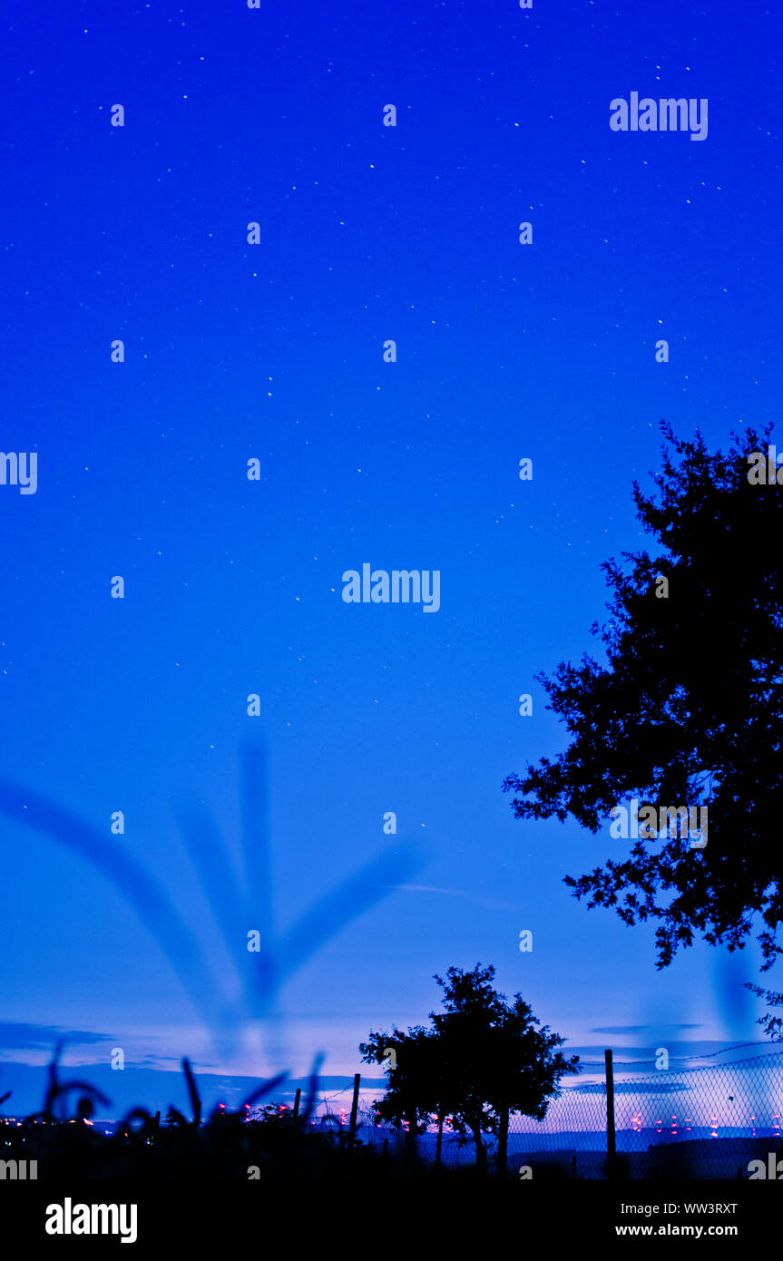 Verticale de paysage un champ et arbres de nuit par jziprian  Banque D'Images