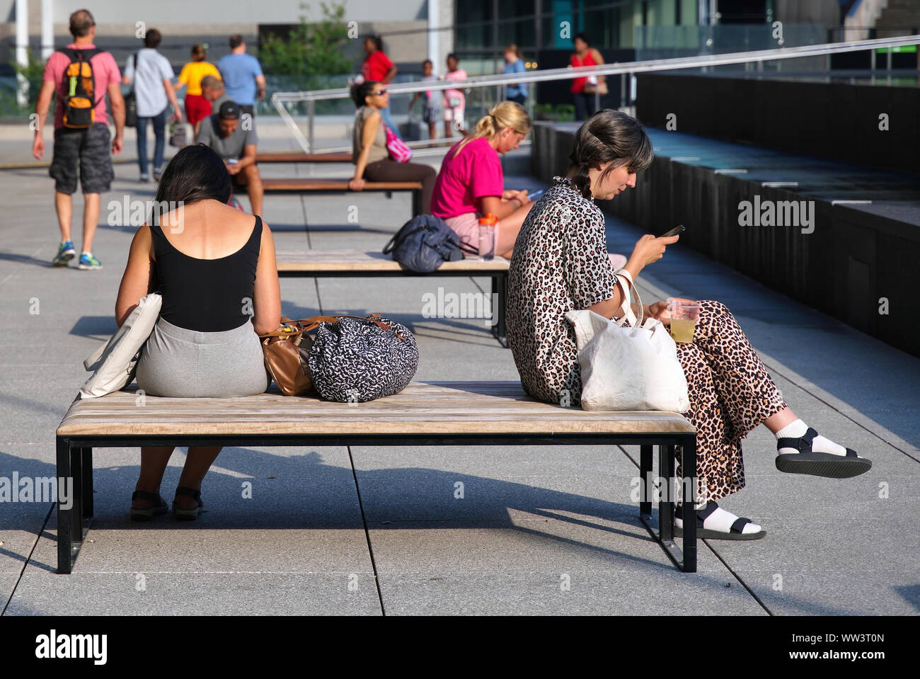 Montréal, Canada. Jul 2019. Les Canadiens collés à leurs téléphones portables sur une journée au parc. Banque D'Images