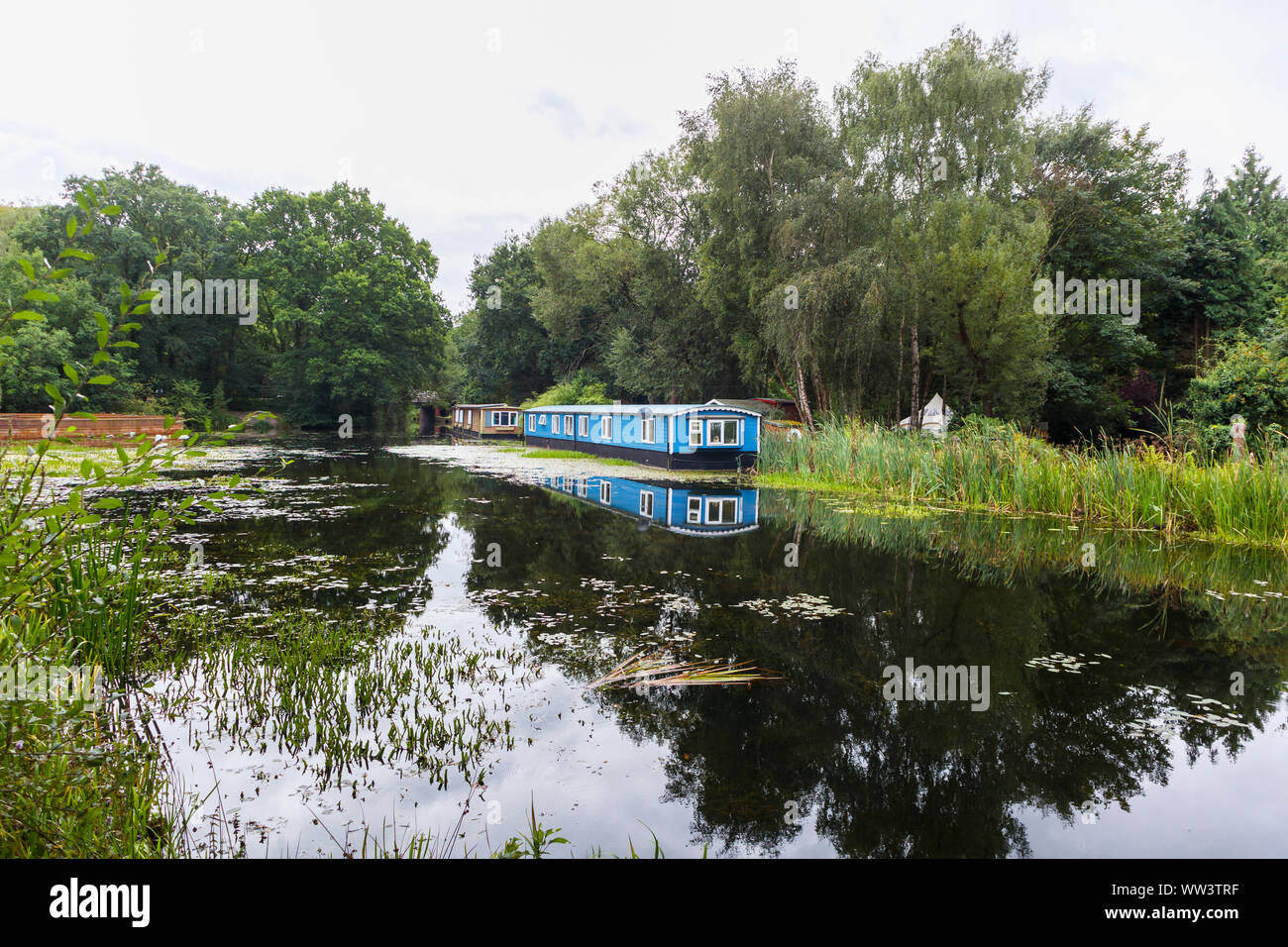 En bois bleu péniche amarré sur les rives de la Basingstoke Canal près de Hermitage, Woking, Surrey, Angleterre du Sud-Est, Royaume-Uni Banque D'Images