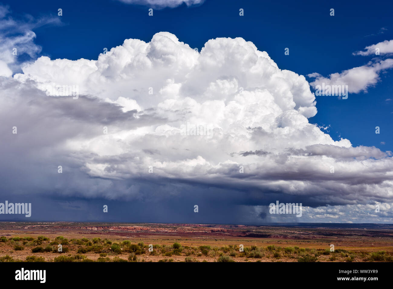Facturant des nuages de cumulonimbus d'un orage en développement dans le ciel près de Nazlini, Arizona Banque D'Images