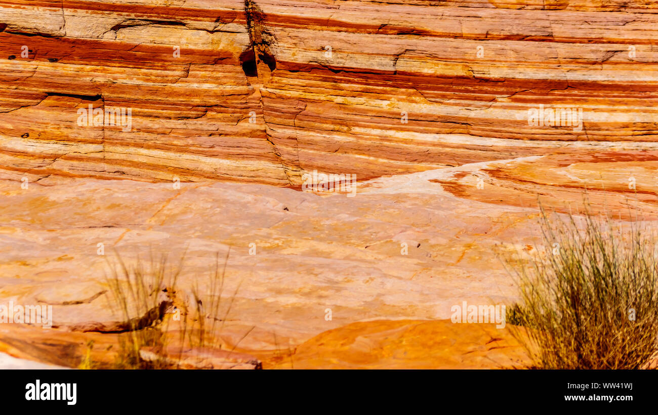 Bandes colorées rochers dans le parc national de la vallée de feu dans la région de Nevada, United States Banque D'Images