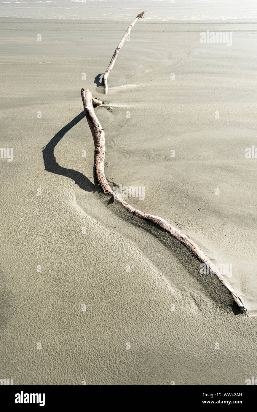 Pice de longue et fine en partie enterrée dans un bois de plage de sable. Banque D'Images