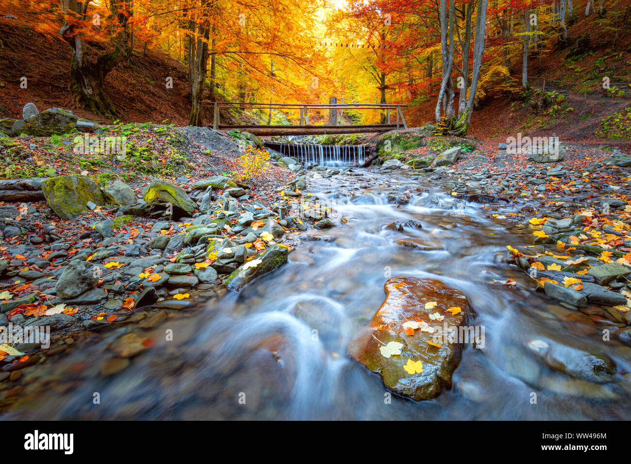 En automne étonnant parc de forêt - arbres colorés, petit pont de bois et de pierres de la rivière rapide, paysage d'automne Banque D'Images