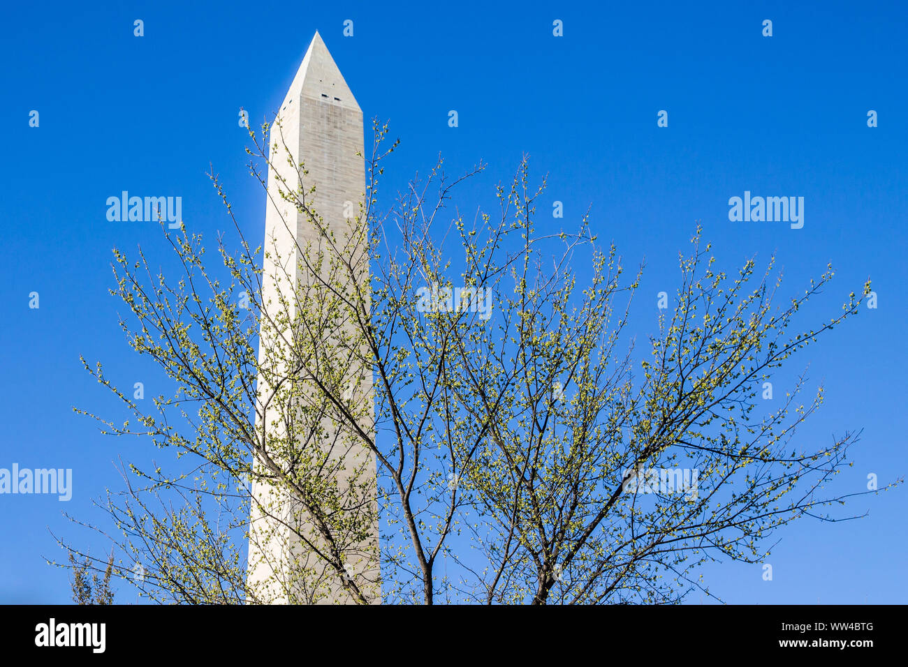 Le Washington Monument, un hommage au premier président des États-Unis, George Washington, situé à Washington, DC. Banque D'Images