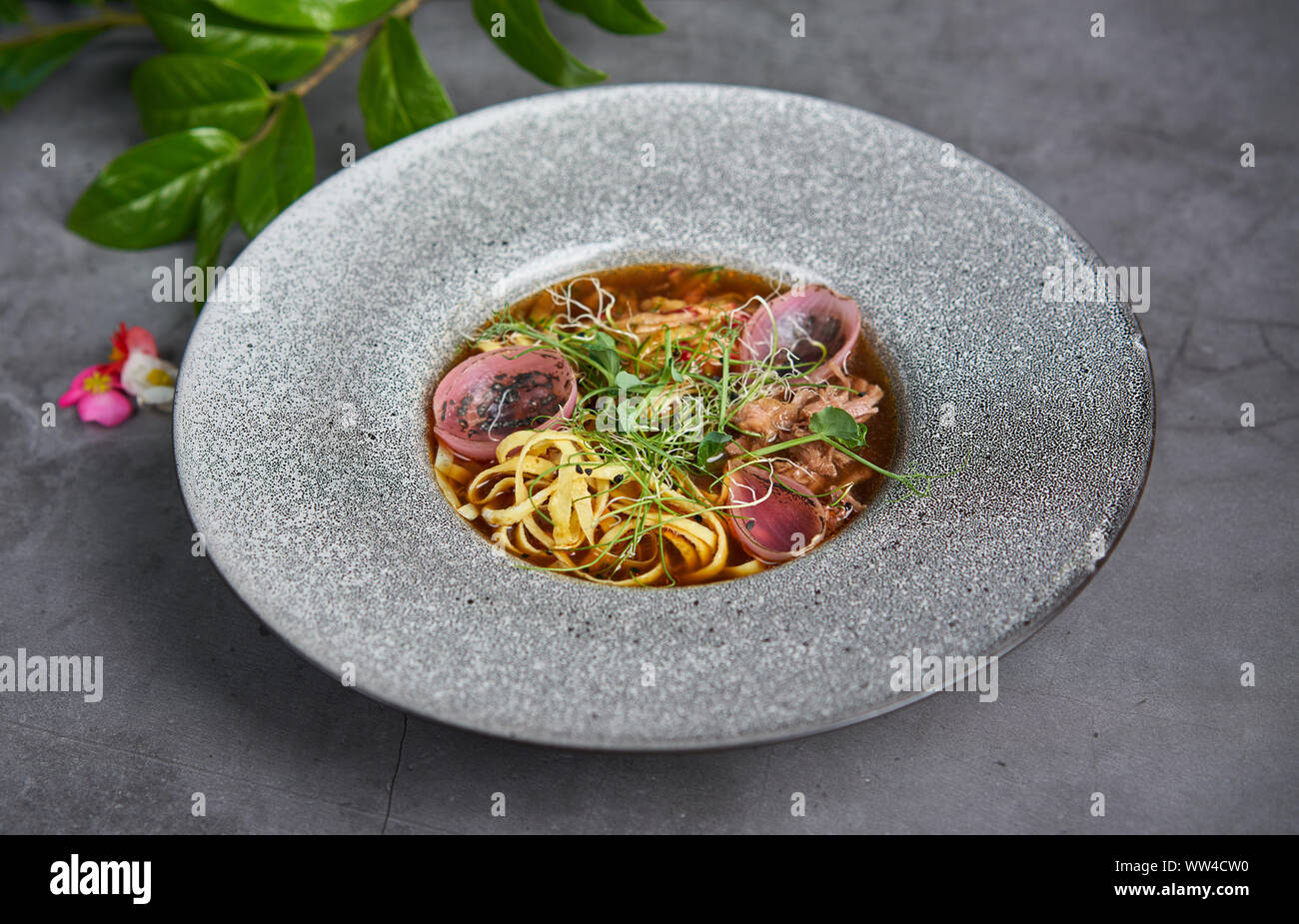 Facile délicieuse soupe asiatique dans la plaque Banque D'Images