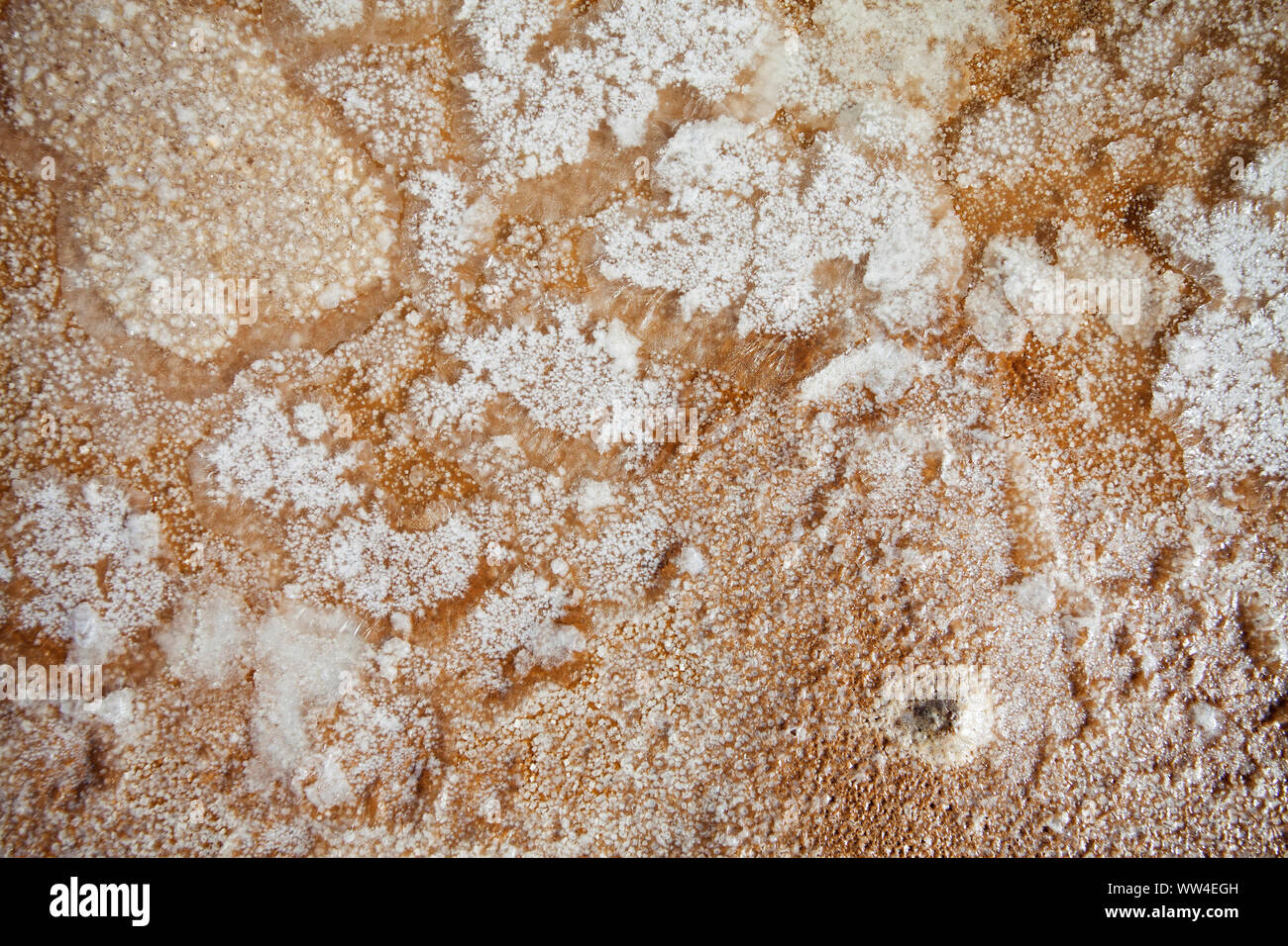 Des cristaux de sel formés sur sécher à côté de la flaque Stagno di Cagliari Sardaigne Italie Septembre 2014 Banque D'Images