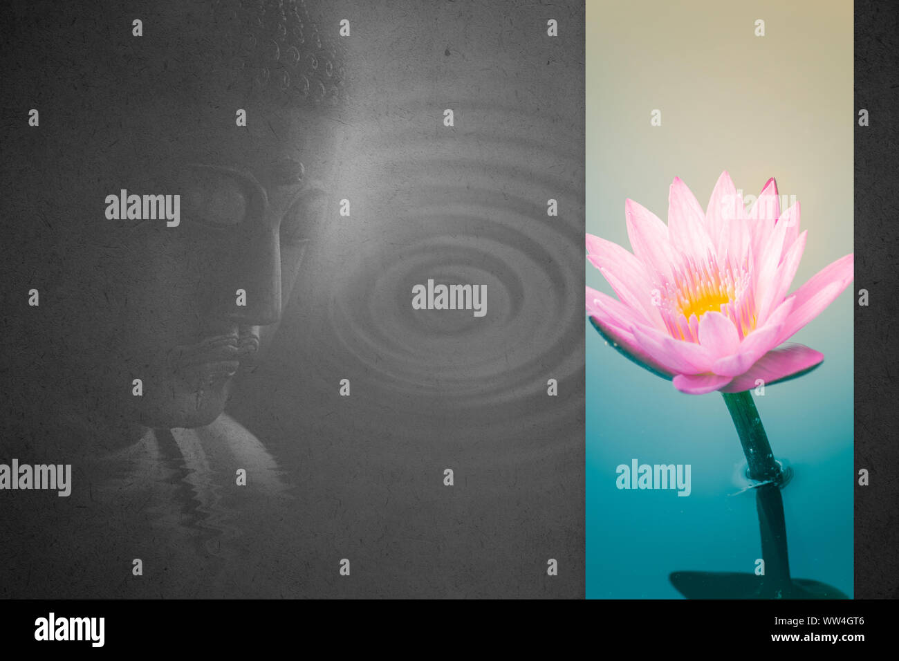 Fleur de Lotus bouddha et la paix de la vie et de la sagesse de la religion d'Asie art design pour l'arrière-plan modèle Banque D'Images