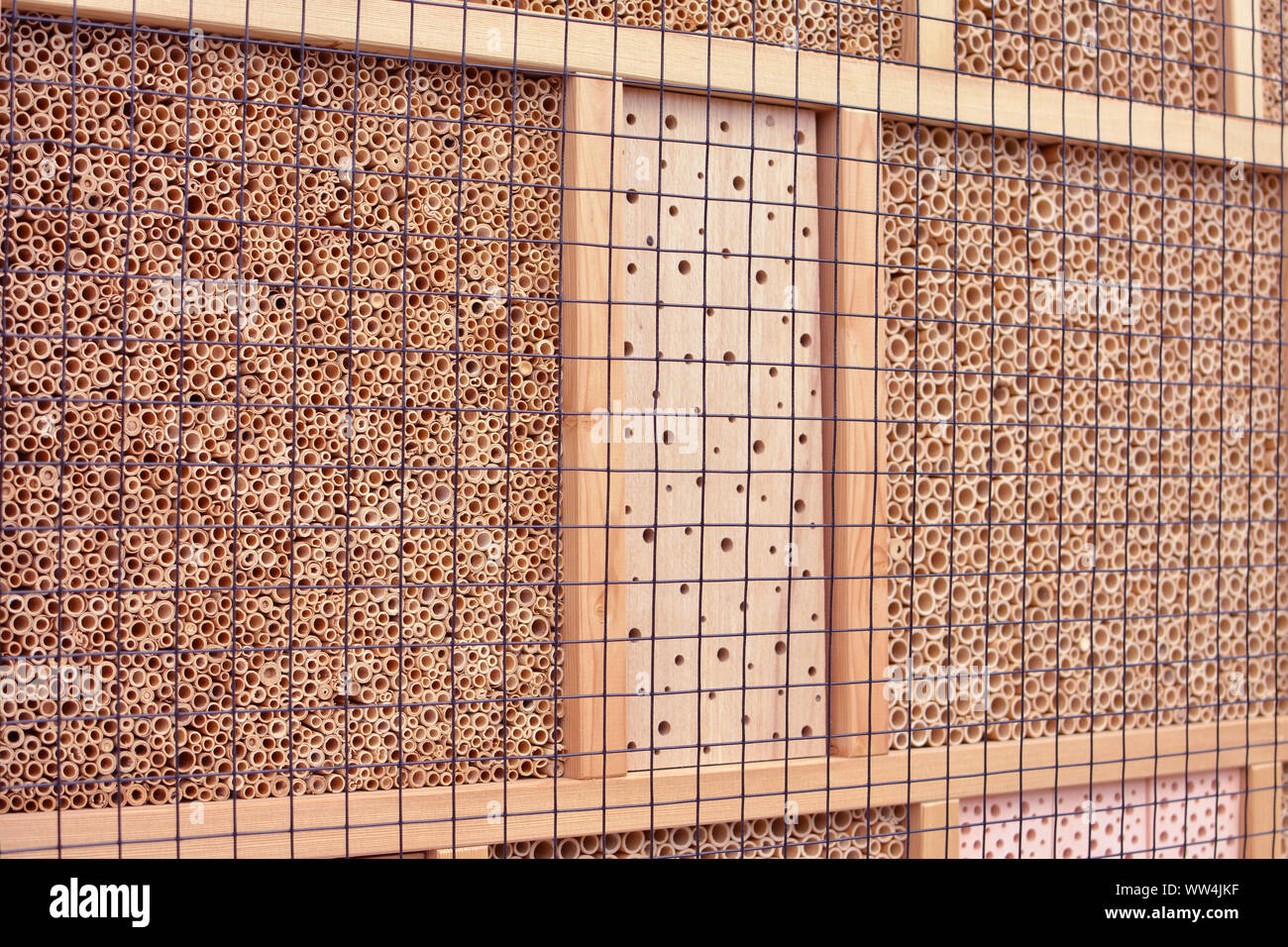 Gros plan d'une maison d'insectes en bois de la structure de l'hôtel créé pour fournir un abri pour les insectes comme les abeilles pour empêcher l'extinction Banque D'Images