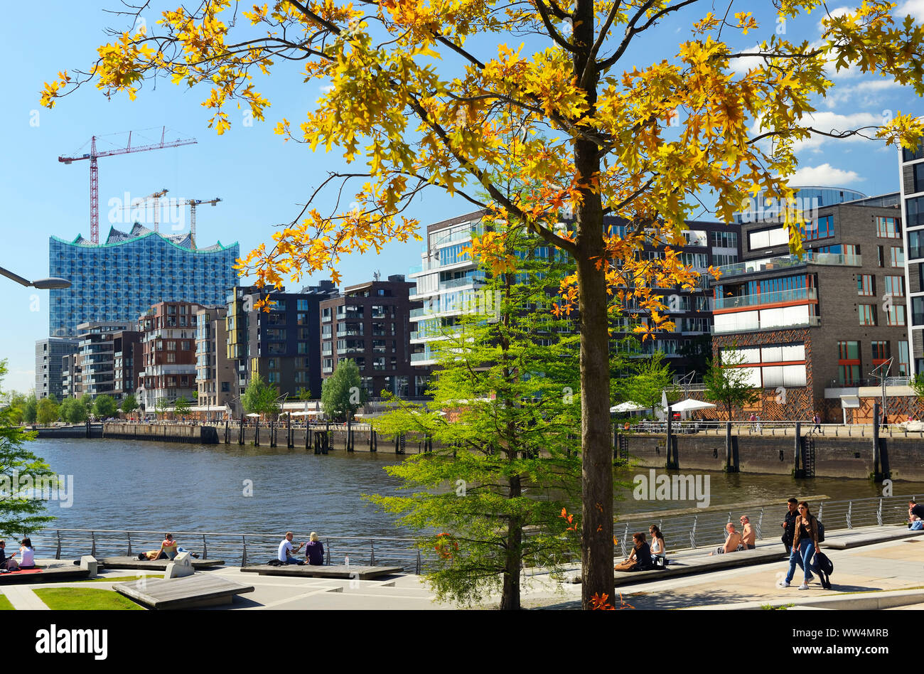 Marco Polo terrasses de la HafenCity de Hambourg, Allemagne, Europe Banque D'Images