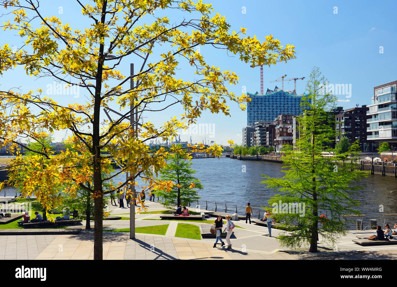 Marco Polo terrasses de la HafenCity de Hambourg, Allemagne, Europe Banque D'Images