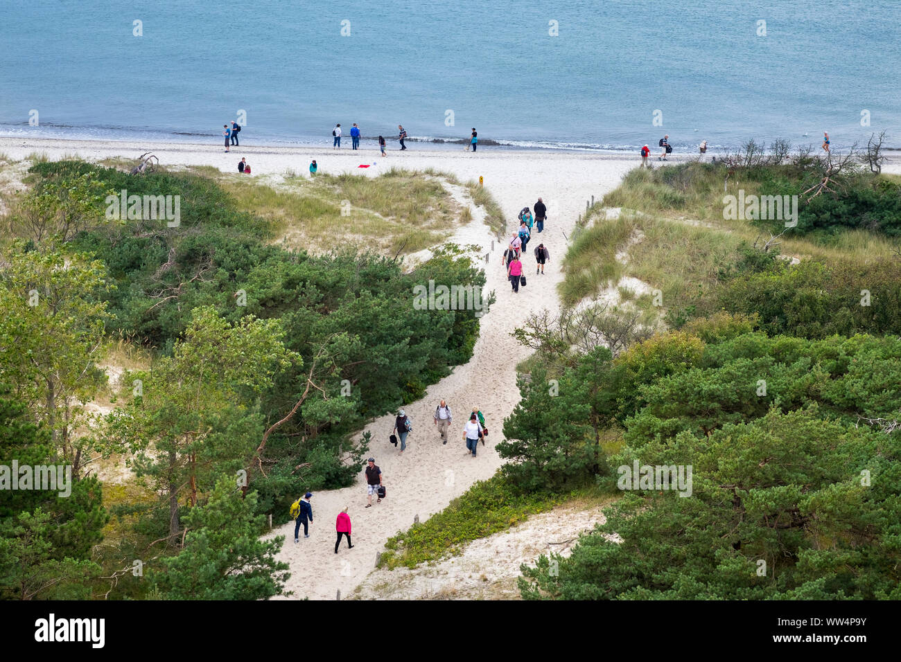 Côte de la mer Baltique, DarÃŸer Ort près de Prerow, vue du phare, 116, DarÃŸ SS-Zingst, Poméranie occidentale Lagoon Salon National Park, Schleswig-Holstein, Allemagne Banque D'Images