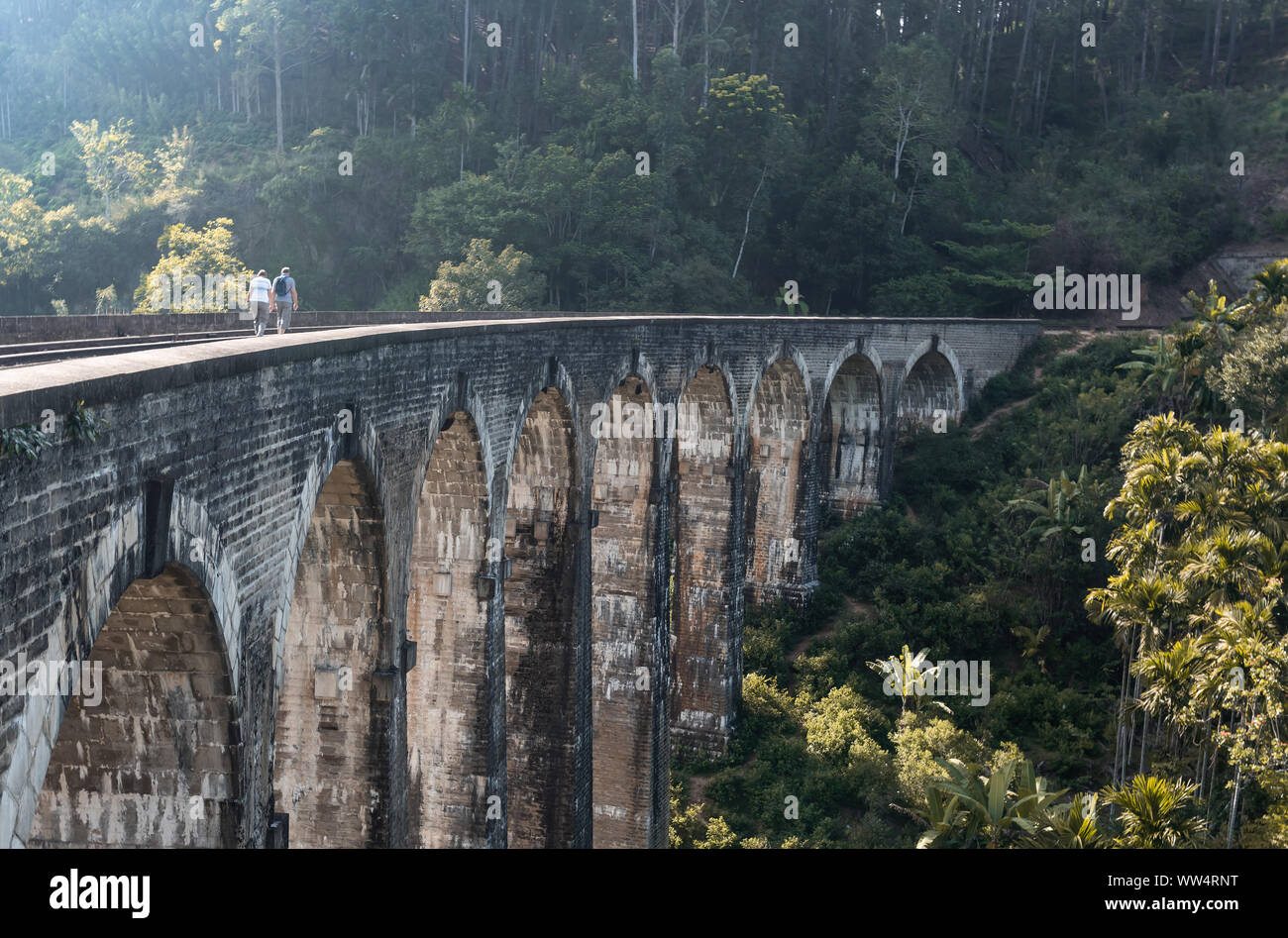 Demodara neuf arches, Ella, Sri Lanka Banque D'Images