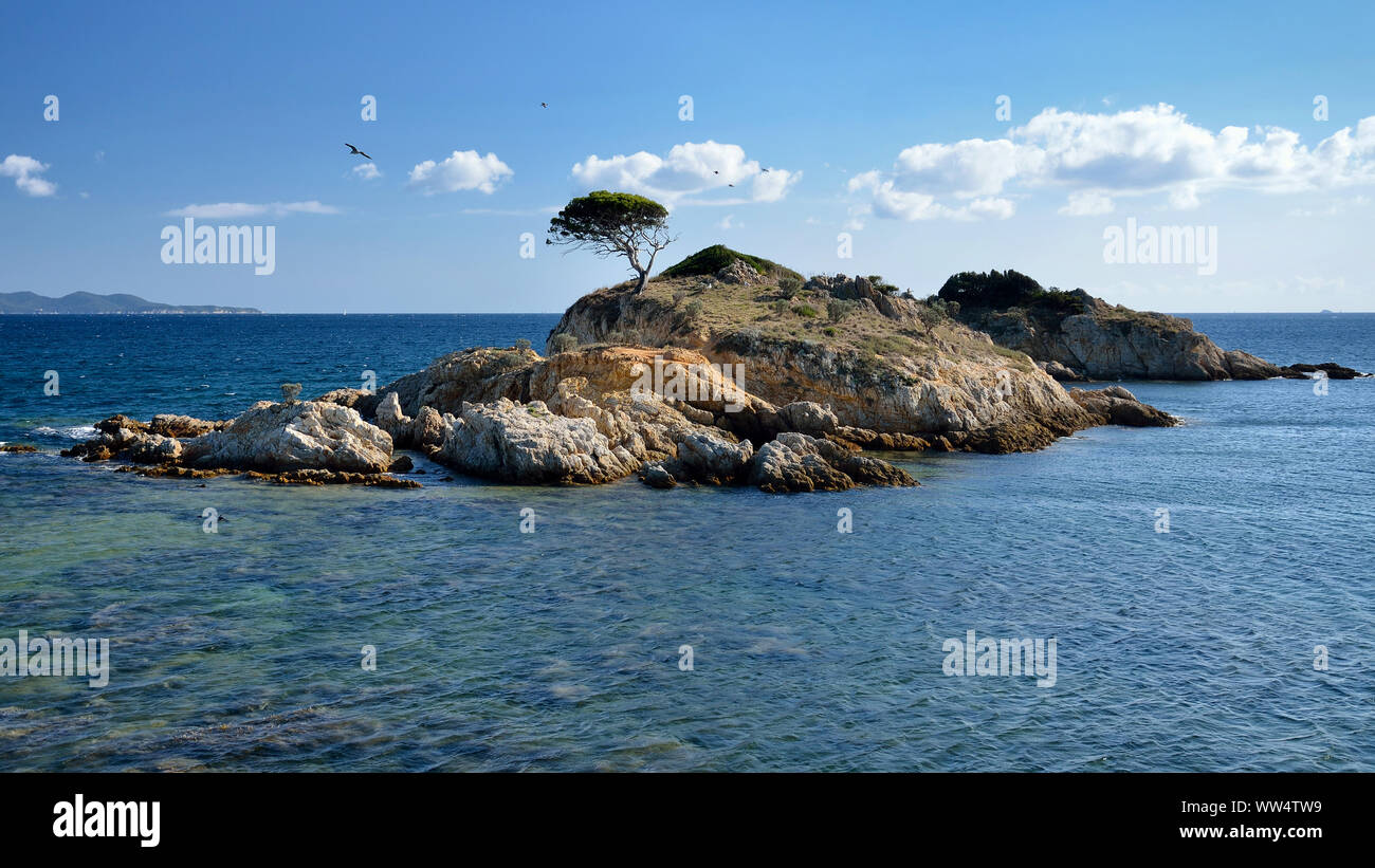 L'Estagnol petite île visible de la piste côtière à Bormes-les-Mimosas, France. Un paysage marin méditerranéen typique. Banque D'Images