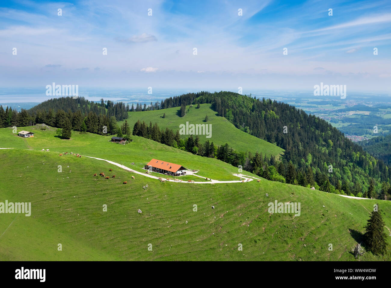 BrÃ¼Ndling alp au Hochfelln, Bergen, Alpes de Chiemgau, Chiemgau, Haute-Bavière, Bavière, Allemagne Banque D'Images