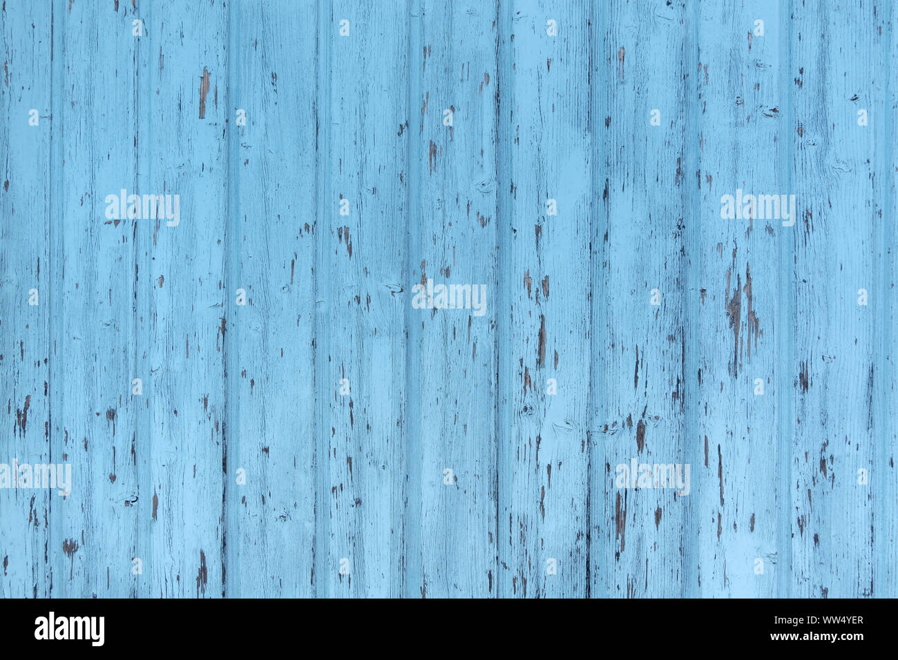 Mur en bois patiné bleu Banque D'Images