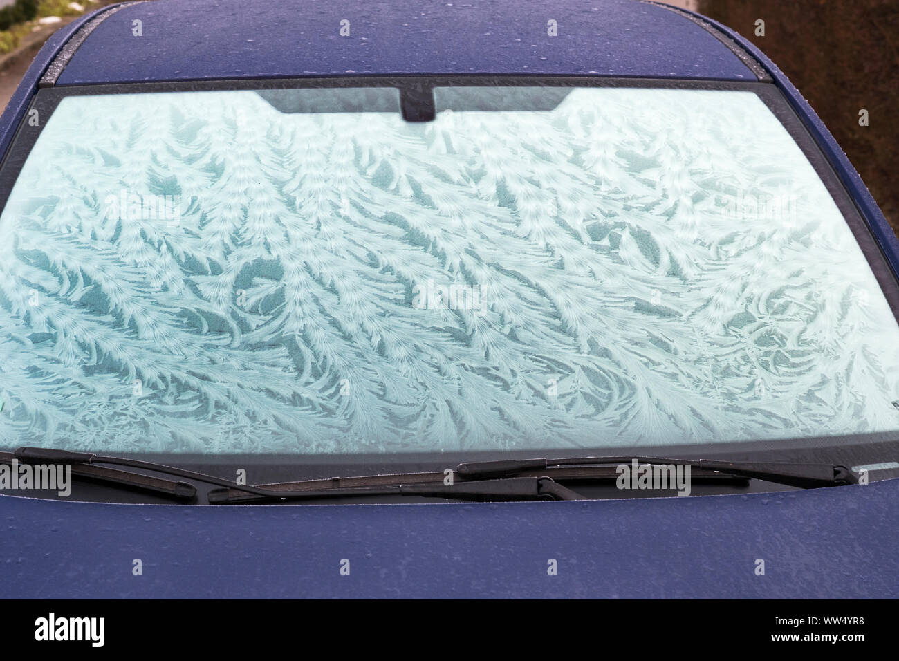 Fleurs de givre sur les pare-brise, vitre de voiture, Allemagne