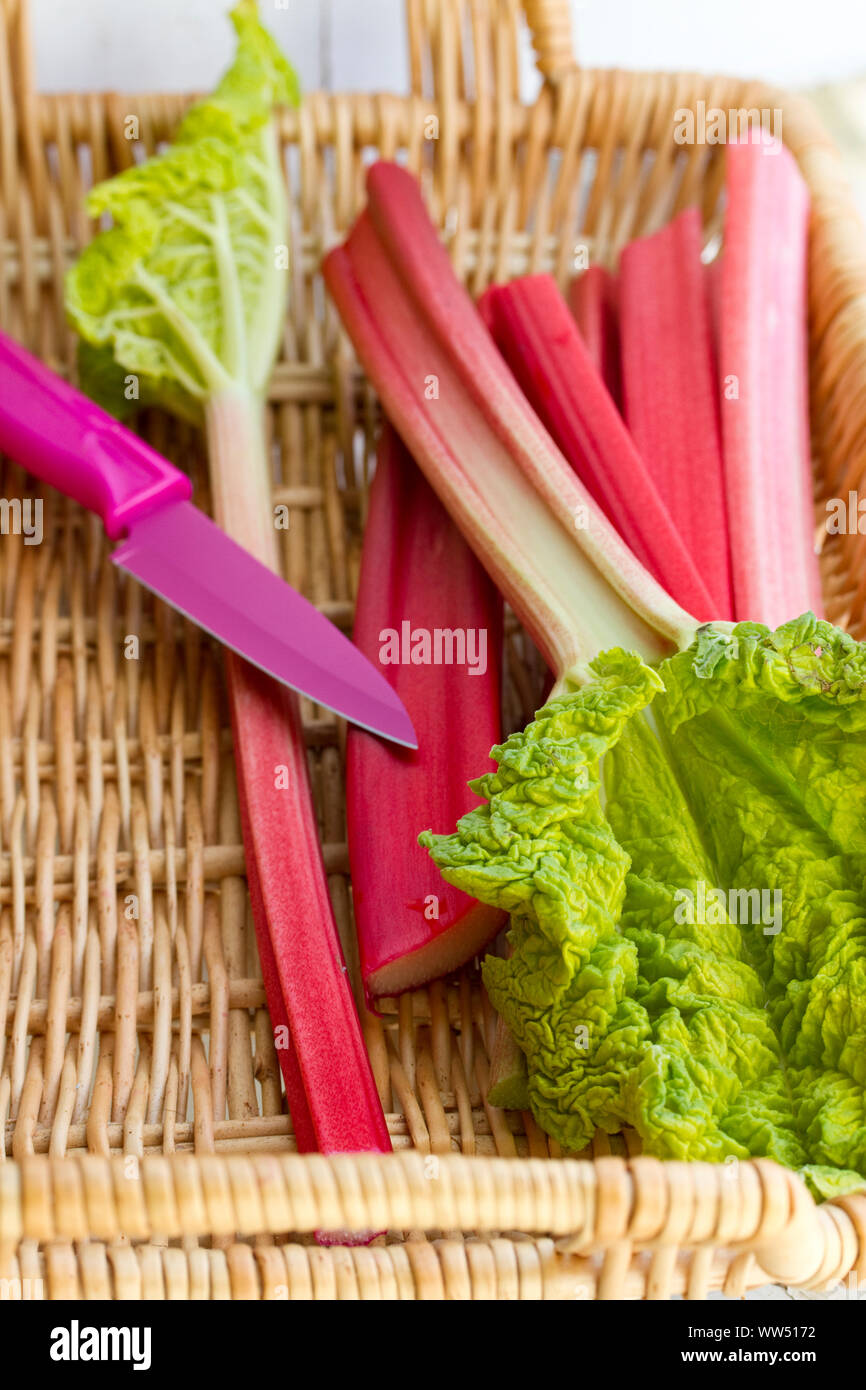 La rhubarbe dans panier avec couteau rose Banque D'Images