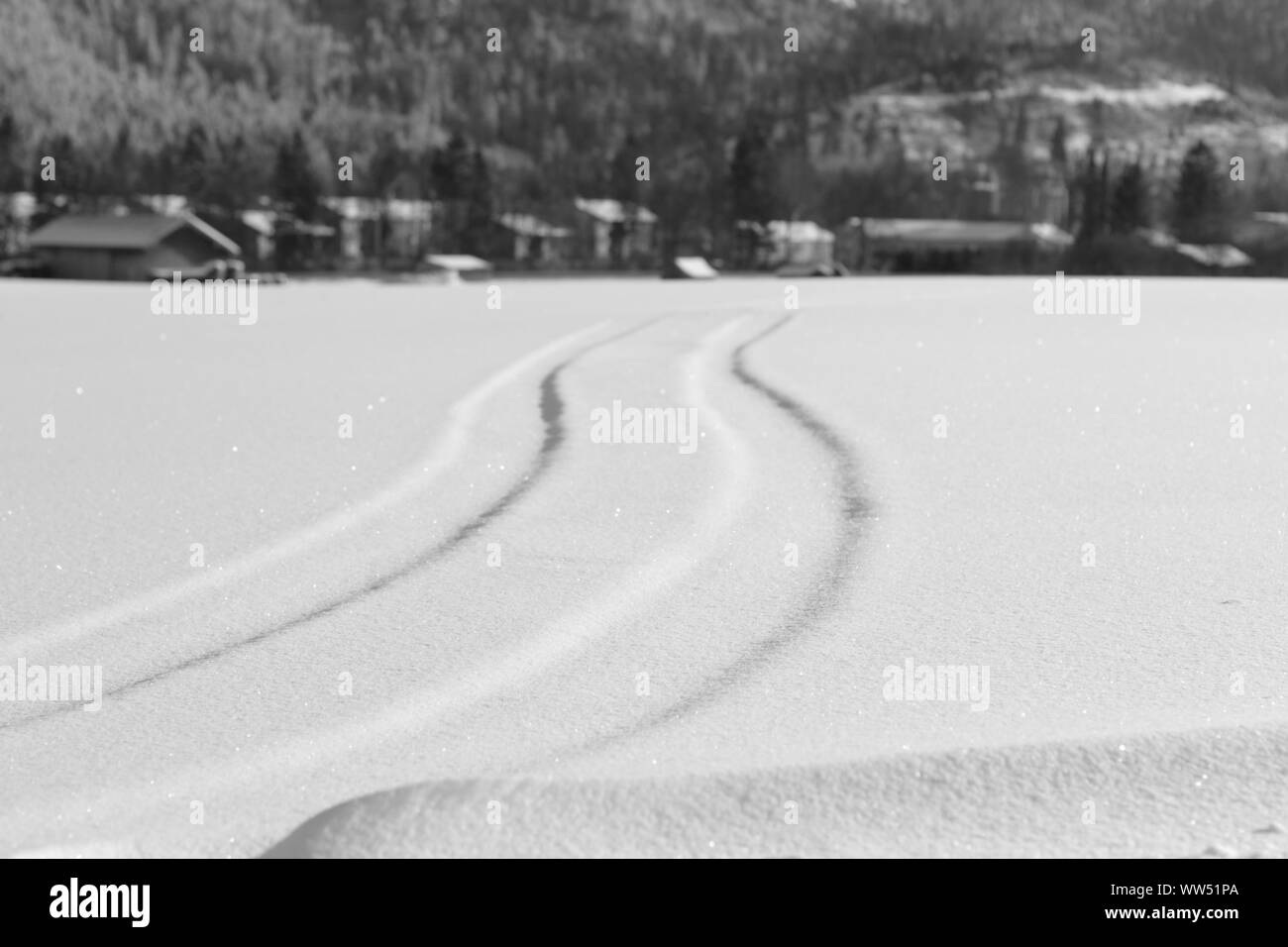 Les pistes enneigées d'un véhicule sur une prairie enneigée, Banque D'Images