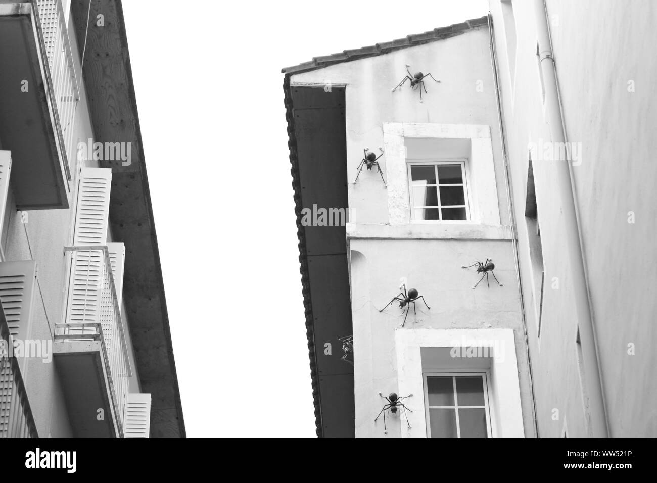 Les grandes fourmis à un mur d'une maison à Saragosse, Banque D'Images