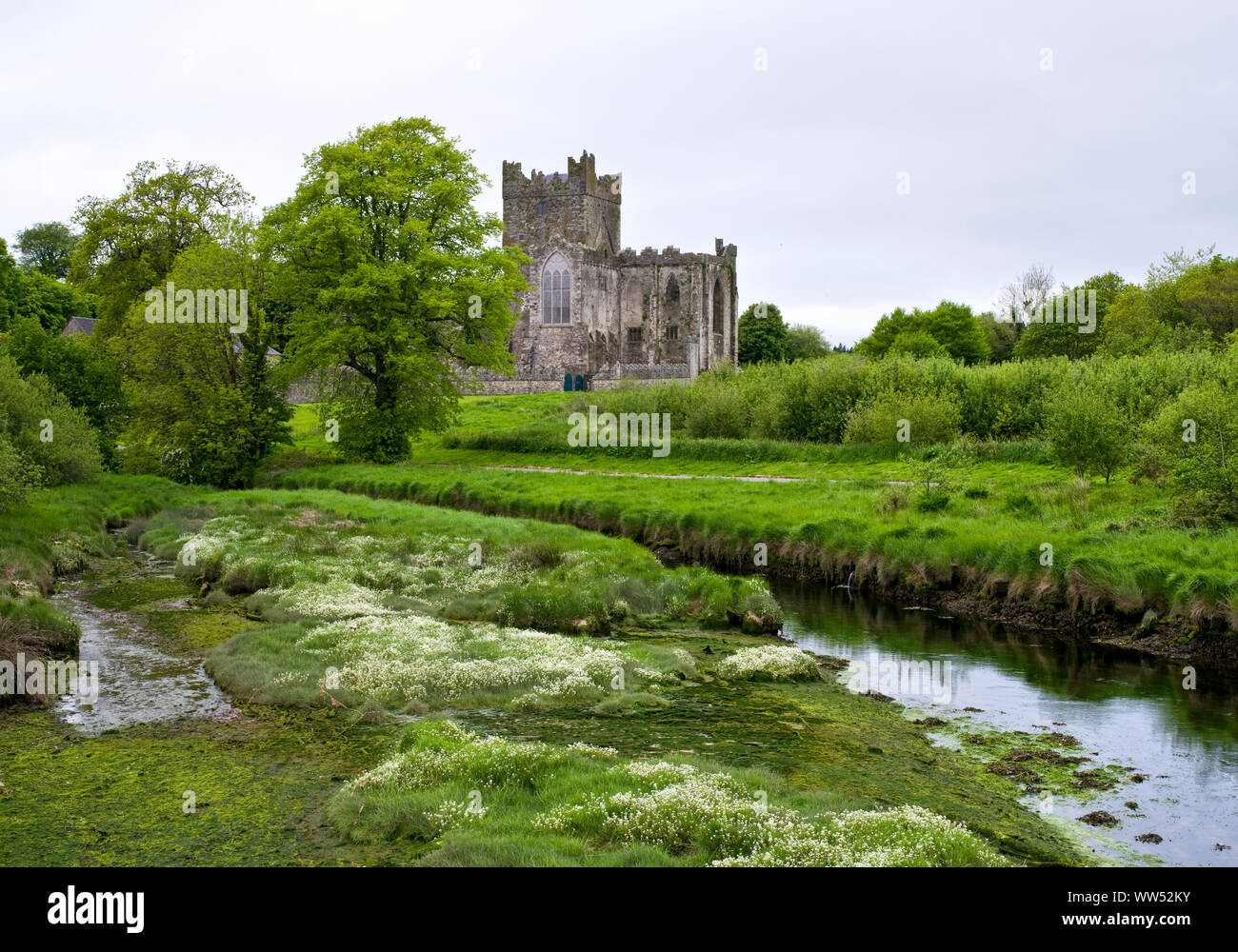 L'Irlande, le comté de Wexford, Abbaye de Tintern sur la péninsule de Hook, monastère cistercien du 12e siècle Banque D'Images