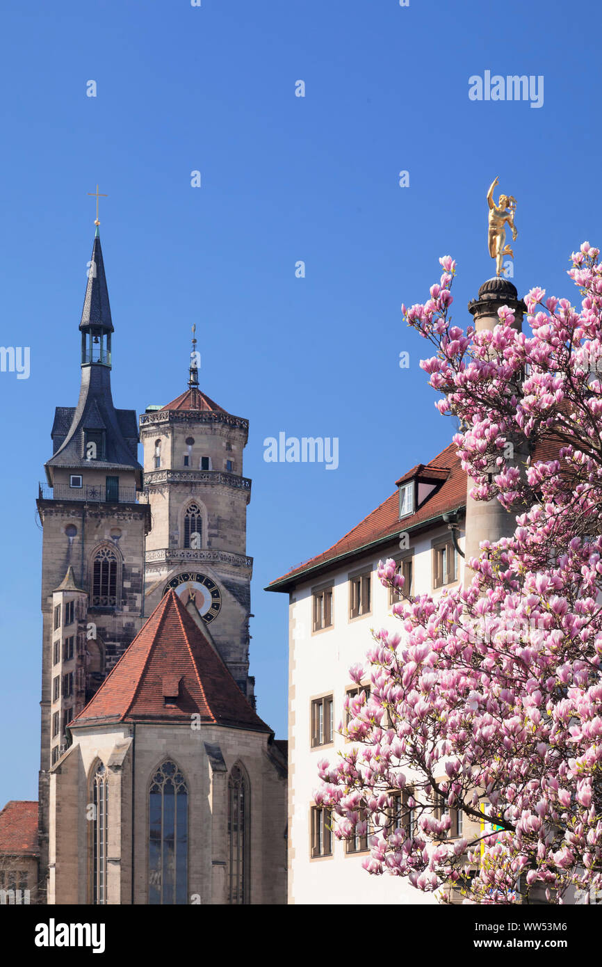 Ancien bureau et église abbatiale avec magnolia, Stuttgart, Bade-Wurtemberg, Allemagne Banque D'Images