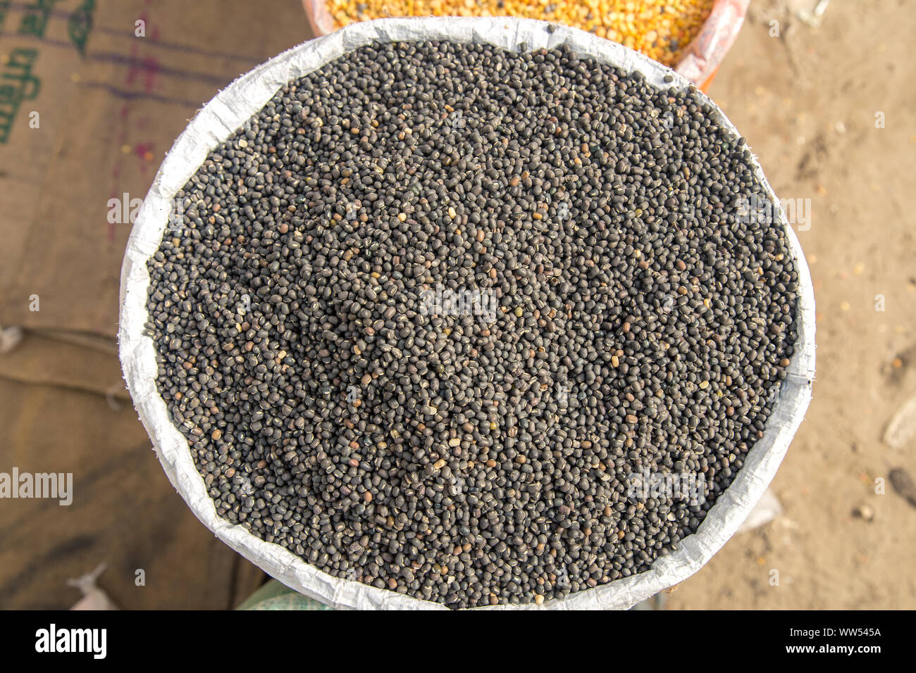 Sac de jute, pleine d'Urad dal lentilles haricots noirs. concept pour gagner ou dépenser dans l'Agriculture. Banque D'Images