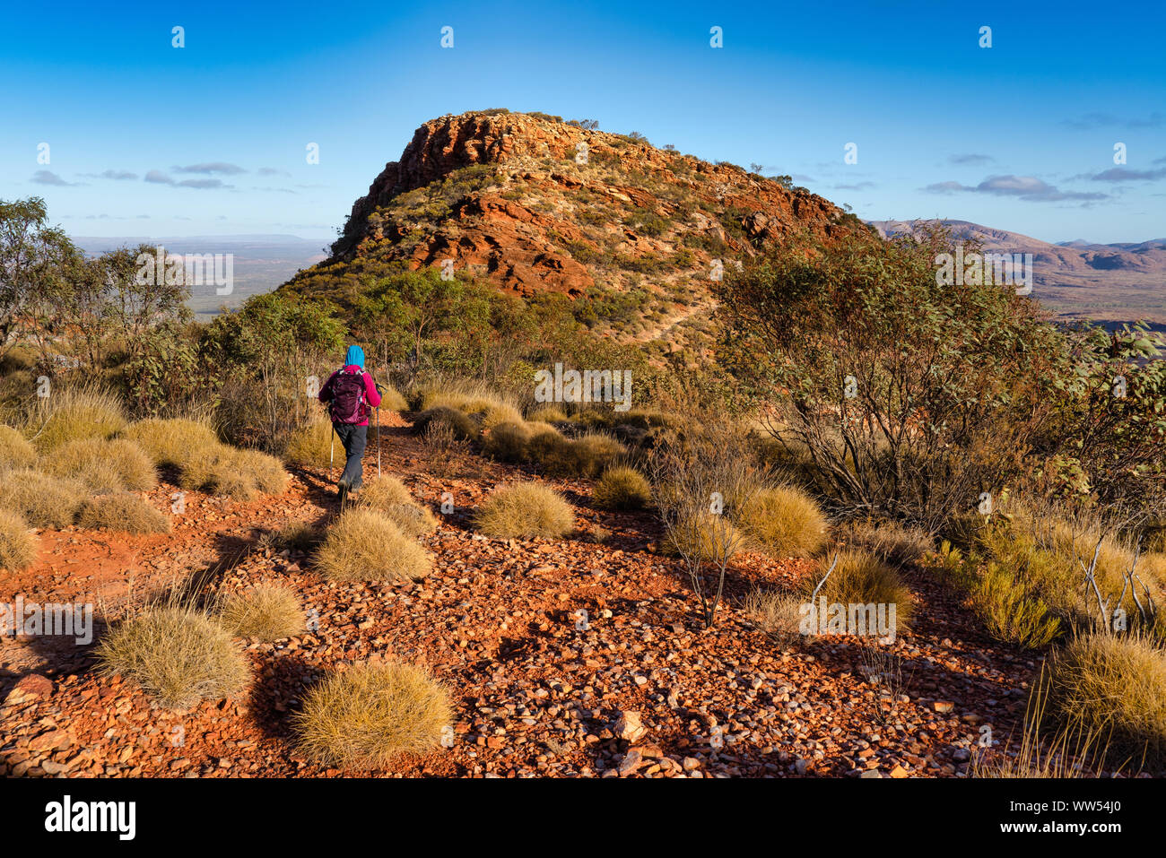 Femme randonnée sur Mt Sonder, West MacDonnell National Park, Territoire du Nord, Australie Banque D'Images