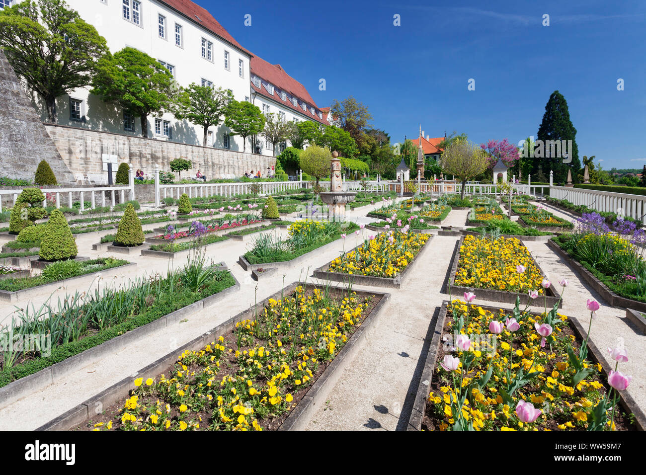 Pommeranzengarten au château, Leonberg, Bade-Wurtemberg, Allemagne Banque D'Images