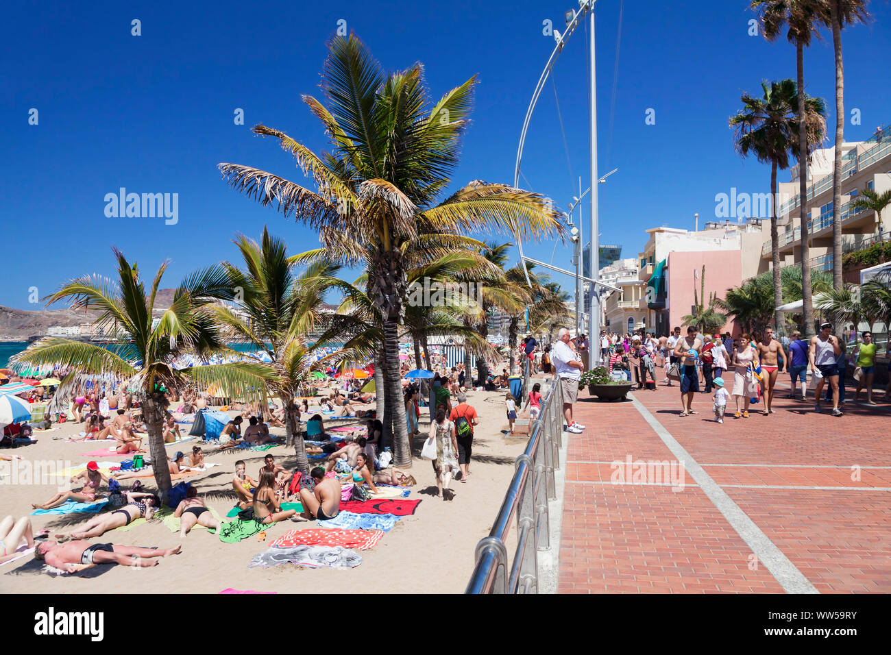 Playa de las Canteras, à Las Palmas, Gran Canaria, Îles Canaries, Espagne Banque D'Images