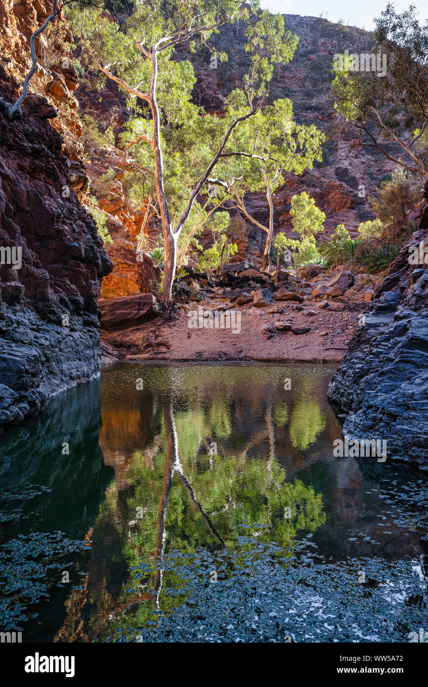 La serpentine Gorge, West MacDonnell Range, Territoire du Nord, Australie Banque D'Images