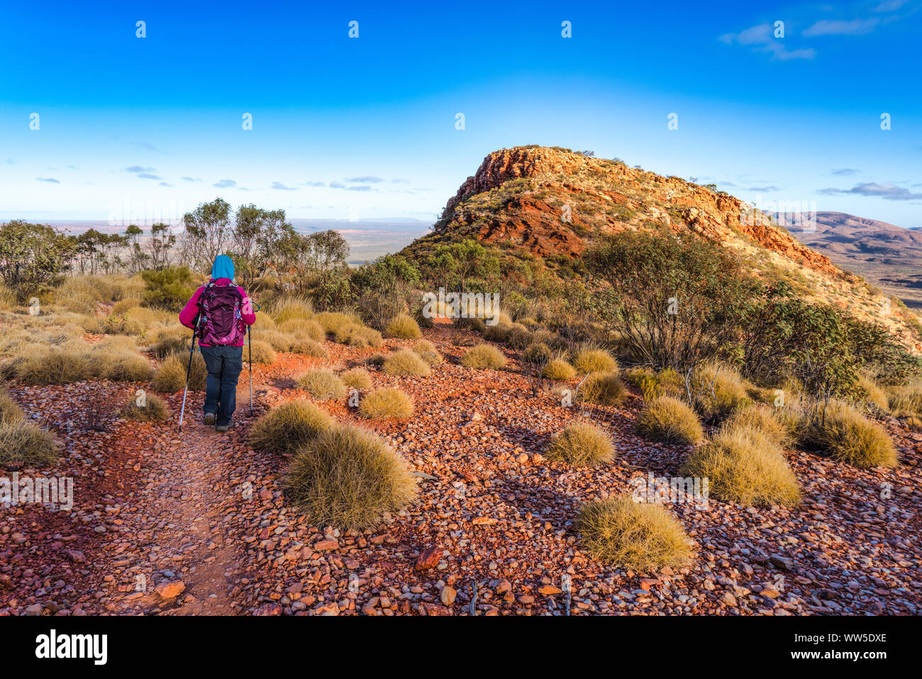 Femme Randonnée sur Mt Sonder la voie, West MacDonnell National Park, Territoire du Nord, Australie Banque D'Images