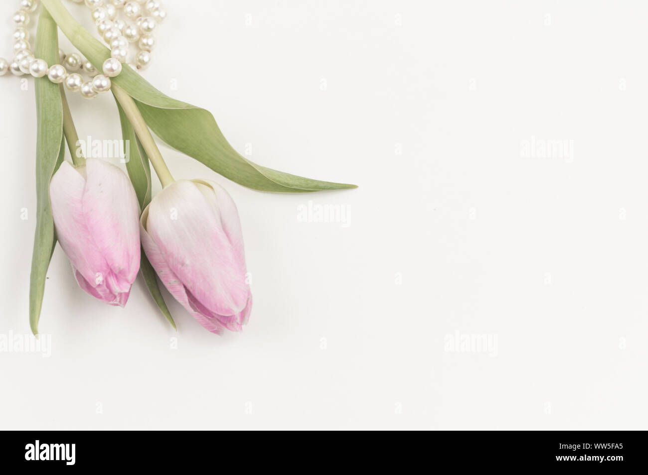 Deux tulipes et une chaîne de perles posé sur une table, copy space Banque D'Images