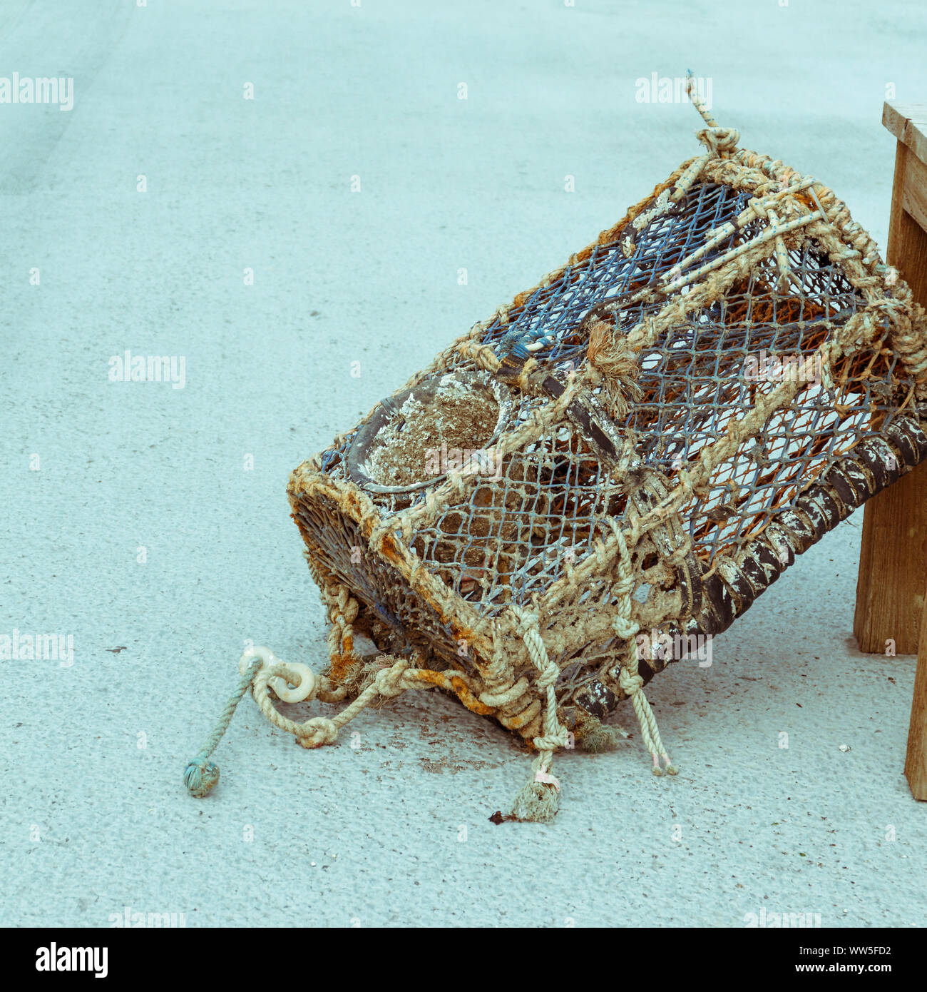 Panier de homard Banque de photographies et d'images à haute résolution -  Alamy