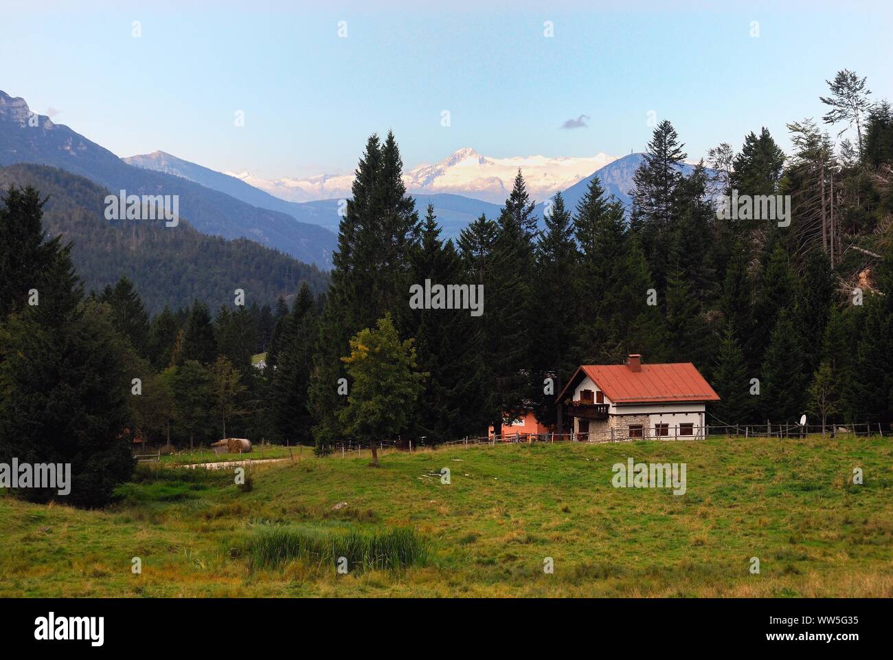 Trentin-haut-Adige, Italie. Vezzena pass, un chalet. C'est un terme utilisé, surtout en Italie, et en France de se référer à petites habitations des Alpes. Banque D'Images